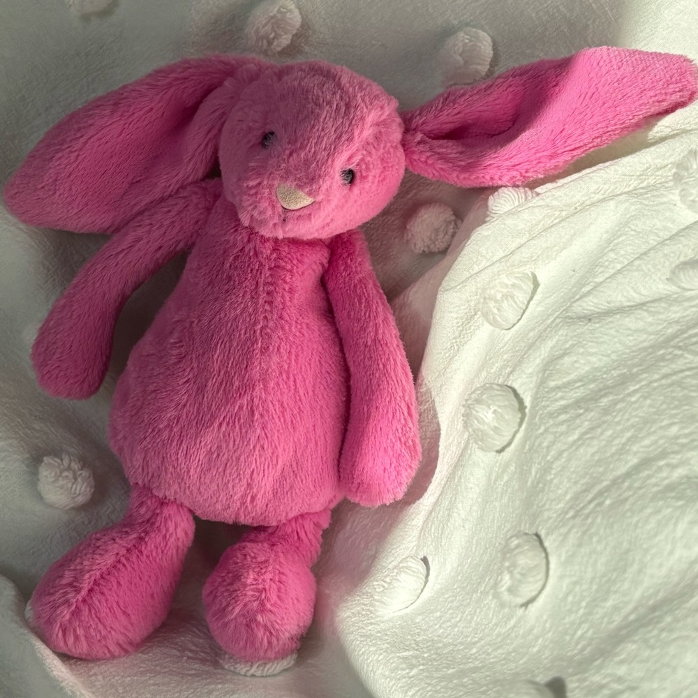 Jellycat Bashful Hot Pink Bunny Small | Retired Jellycat